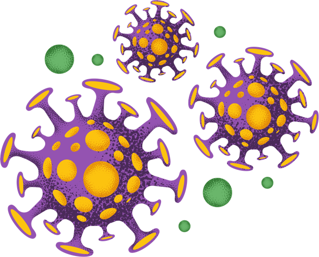 coronavirus