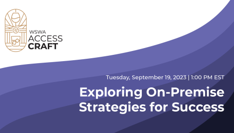 Exploring On-Premise Strategies for Success